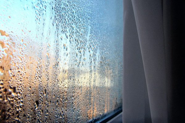 Do you know how to keep your home warm and dry this winter?