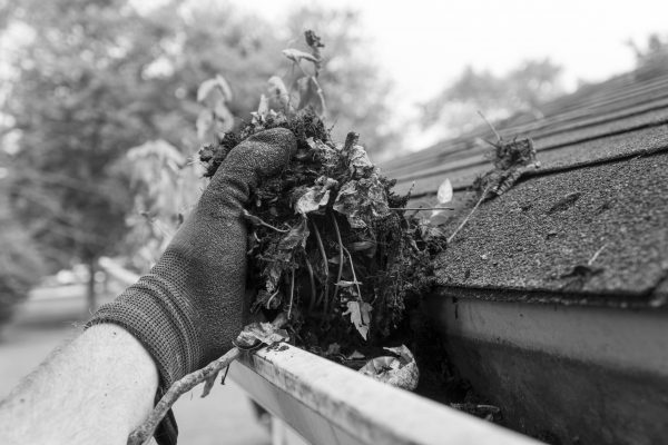 Getting your gutters ready for a heavy winter.